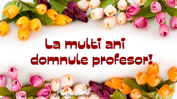 Felicitari de la multi ani pentru Profesor - La multi ani domnule profesor!