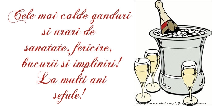 la multi ani sef Cele mai calde ganduri si urari de sanatate, fericire, bucurii si impliniri! La multi ani sefule!