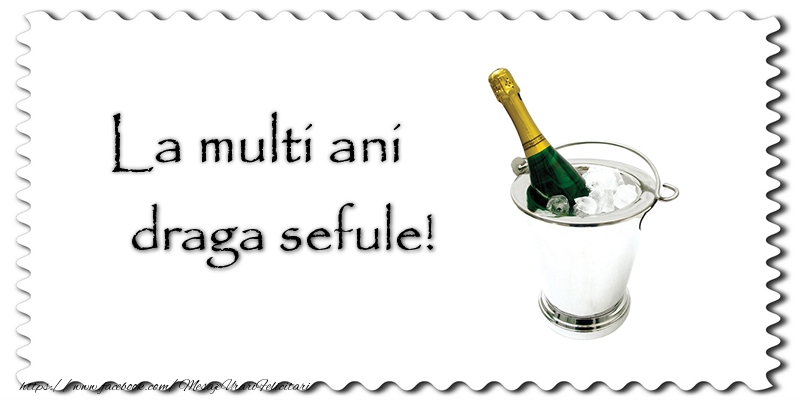 Felicitari de la multi ani pentru Sef - La multi ani draga sefule!