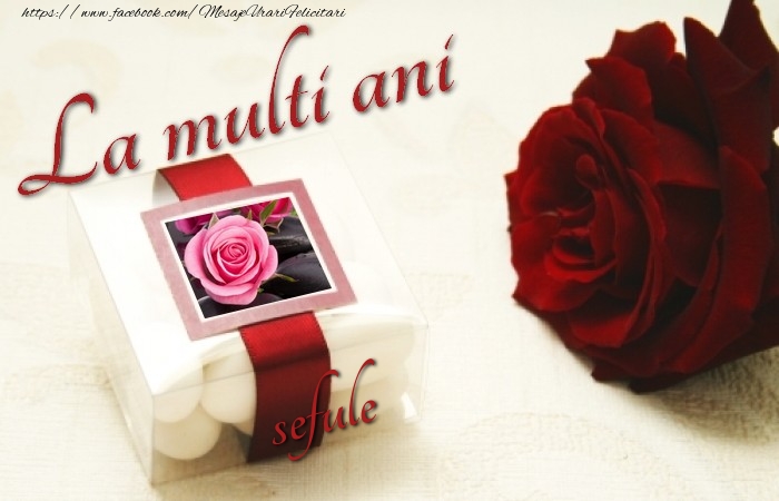 Felicitari de la multi ani pentru Sef - La multi ani, sefule!