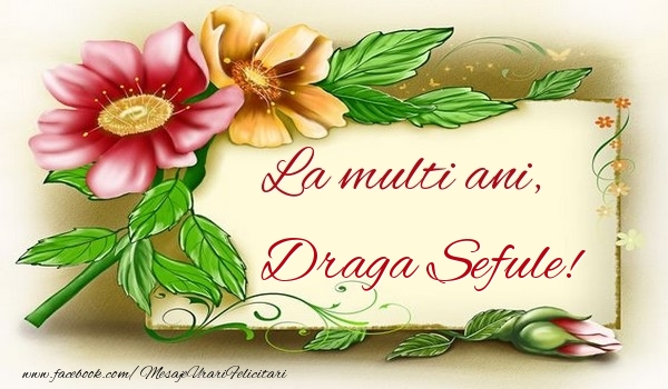 Felicitari de la multi ani pentru Sef - La multi ani, draga sefule
