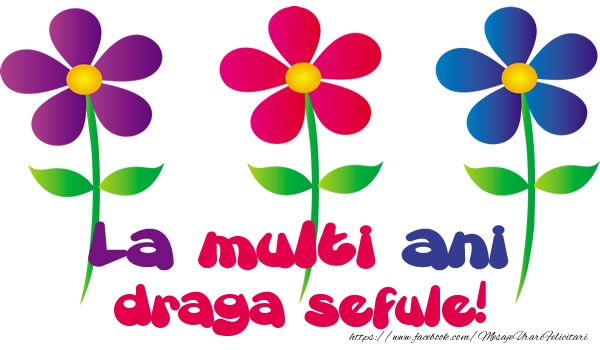 Felicitari de la multi ani pentru Sef - La multi ani draga sefule!
