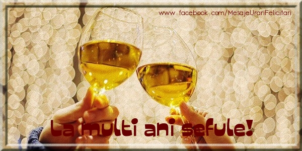 Felicitari de la multi ani pentru Sef - La multi ani sefule