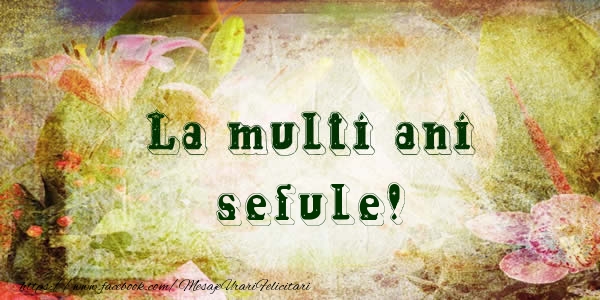 Felicitari de la multi ani pentru Sef - La multi ani sefule!