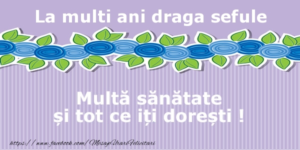 Felicitari de la multi ani pentru Sef - La multi ani draga sefule Multa sanatate si tot ce iti doresti !