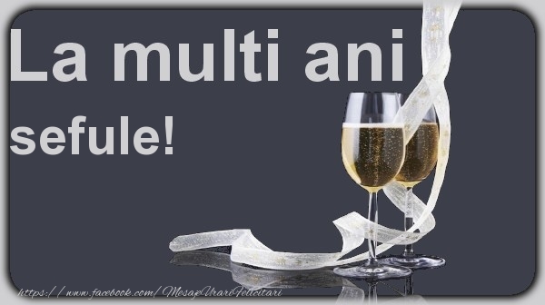 Felicitari de la multi ani pentru Sef - La multi ani sefule!