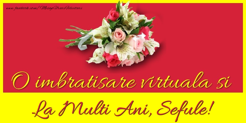 Felicitari de la multi ani pentru Sef - O imbratisare virtuala si la multi ani, sefule