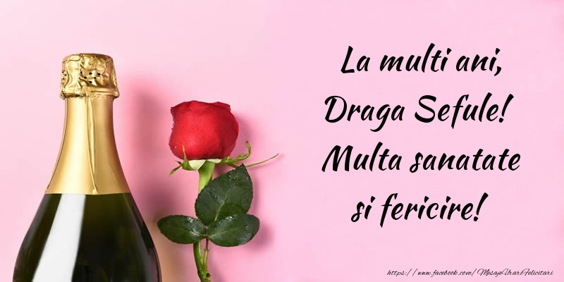 Felicitari de la multi ani pentru Sef - La multi ani, draga sefule! Multa sanatate si fericire!