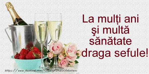 Felicitari de la multi ani pentru Sef - La multi ani si multa sanatate draga sefule!