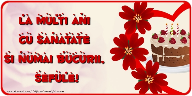 Felicitari de la multi ani pentru Sef - La multi ani cu sanatate si numai bucurii, sefule