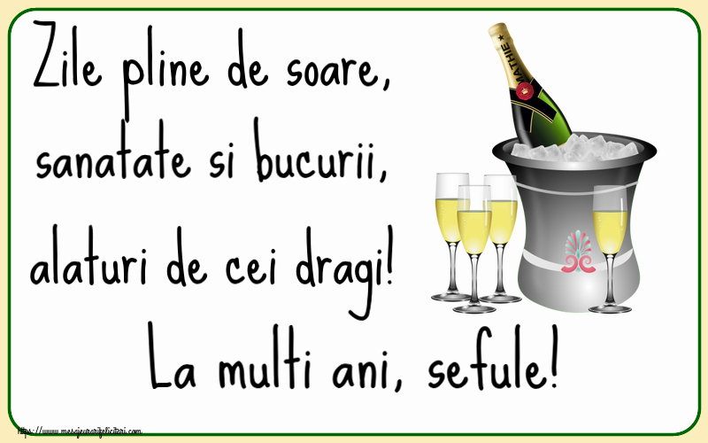 Felicitari de la multi ani pentru Sef - Zile pline de soare, sanatate si bucurii, alaturi de cei dragi! La multi ani, sefule!