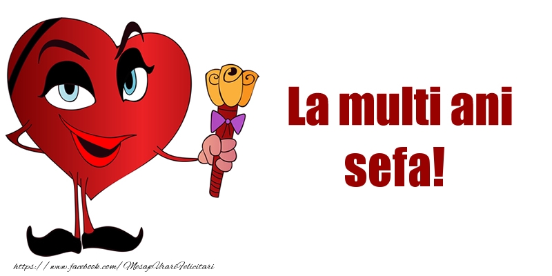 Felicitari de la multi ani pentru Sefa - La multi ani sefa!