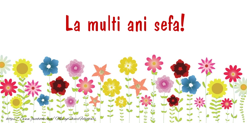 Felicitari de la multi ani pentru Sefa - La multi ani sefa!