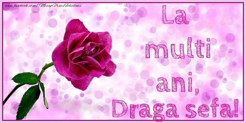 Felicitari de la multi ani pentru Sefa - La multi ani, draga sefa!