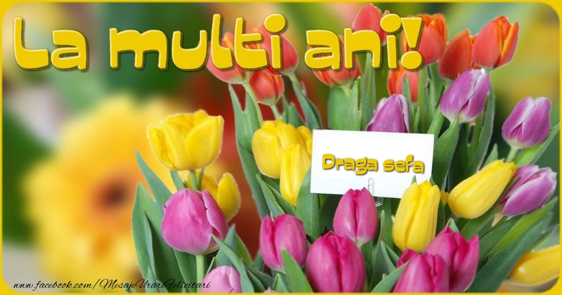 Felicitari de la multi ani pentru Sefa - La multi ani, draga sefa