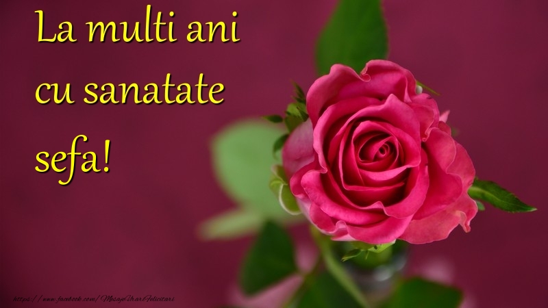 Felicitari de la multi ani pentru Sefa - La multi ani cu sanatate sefa