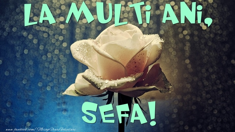 Felicitari de la multi ani pentru Sefa - La multi ani, sefa