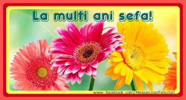 Felicitari de la multi ani pentru Sefa - La multi ani sefa!