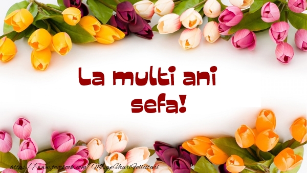 Felicitari de la multi ani pentru Sefa - La multi ani sefa!