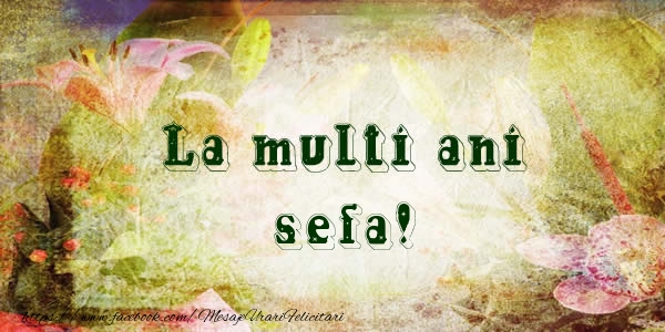 Felicitari de la multi ani pentru Sefa - La multi ani sefa!