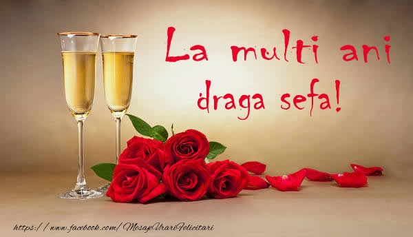 Felicitari de la multi ani pentru Sefa - La multi ani draga sefa!