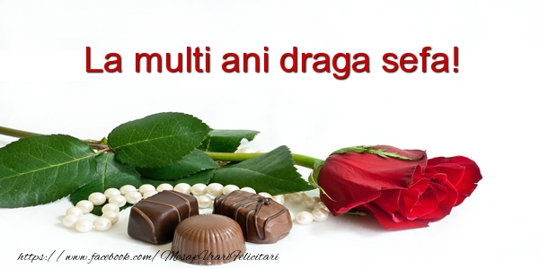 Felicitari de la multi ani pentru Sefa - La multi ani draga sefa!