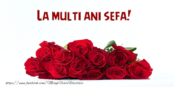 Felicitari de la multi ani pentru Sefa - La multi ani sefa!