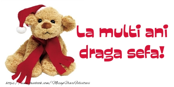Felicitari de la multi ani pentru Sefa - La multi ani draga sefa!