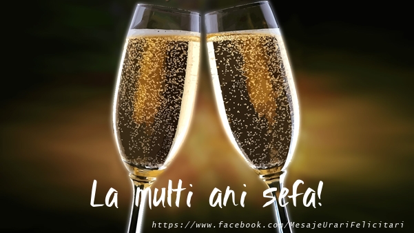 Felicitari de la multi ani pentru Sefa - La multi ani sefa!