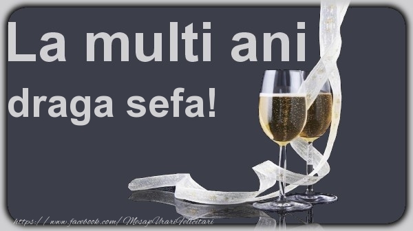 Felicitari de la multi ani pentru Sefa - La multi ani draga sefa!