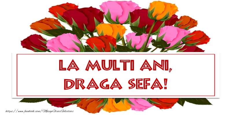 Felicitari de la multi ani pentru Sefa - La multi ani, draga sefa!