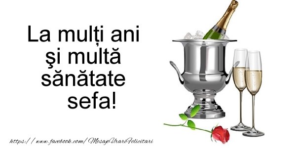Felicitari de la multi ani pentru Sefa - La multi ani si multa sanatate sefa!
