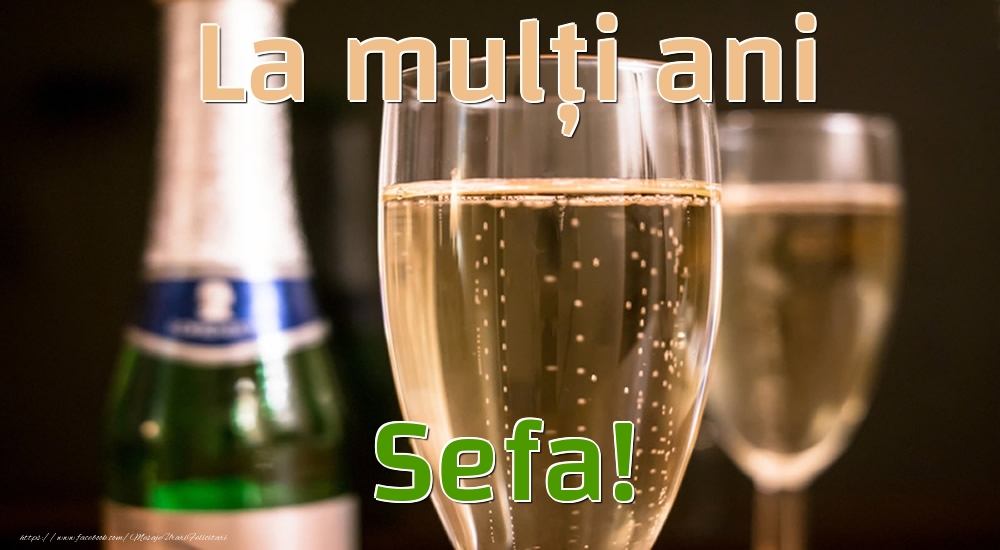 Felicitari de la multi ani pentru Sefa - La mulți ani sefa!