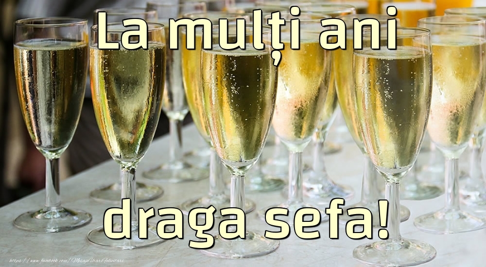 Felicitari de la multi ani pentru Sefa - La mulți ani draga sefa!