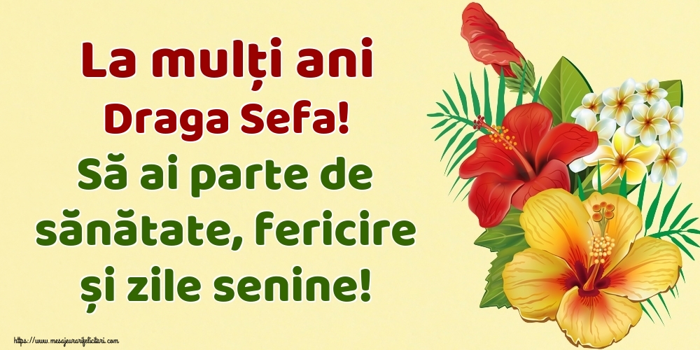 Felicitari de la multi ani pentru Sefa - La mulți ani draga sefa! Să ai parte de sănătate, fericire și zile senine!