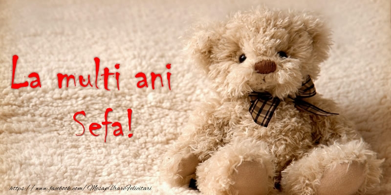 Felicitari de la multi ani pentru Sefa - Sefa Te iubesc!