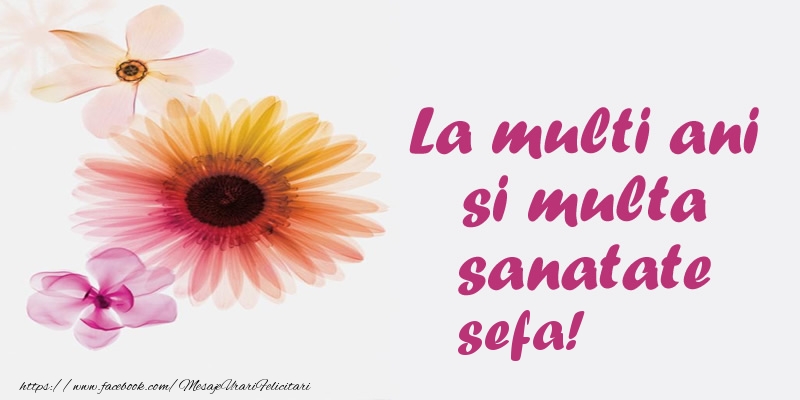 Felicitari de la multi ani pentru Sefa - La multi ani si multa sanatate sefa!