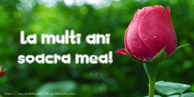 Felicitari de la multi ani pentru Soacra - La multi ani soacra mea!
