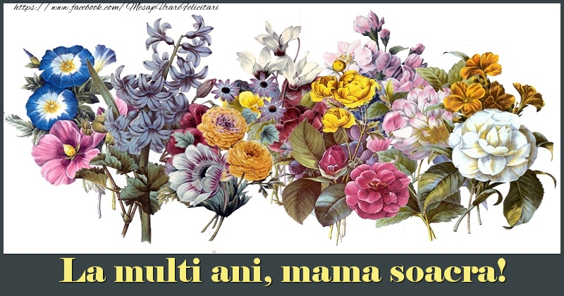 Felicitari de la multi ani pentru Soacra - La multi ani, mama soacra!
