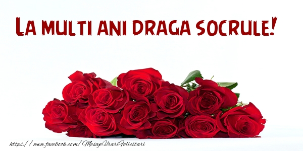 Felicitari de la multi ani pentru Socru - La multi ani draga socrule!