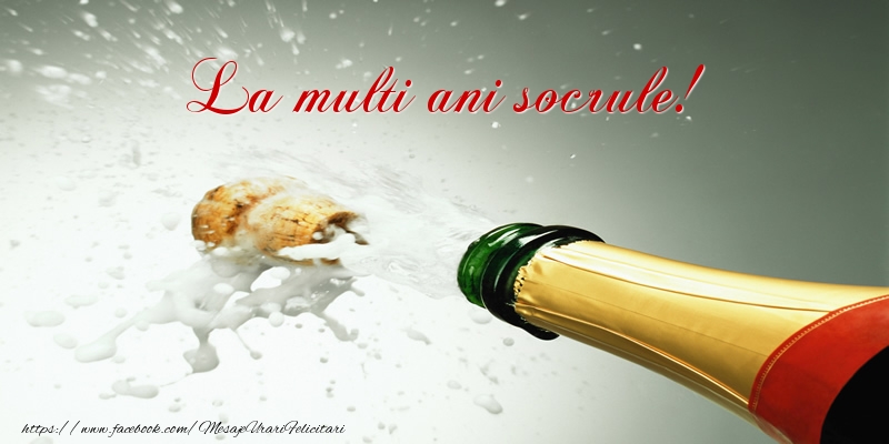 Felicitari de la multi ani pentru Socru - La multi ani socrule!