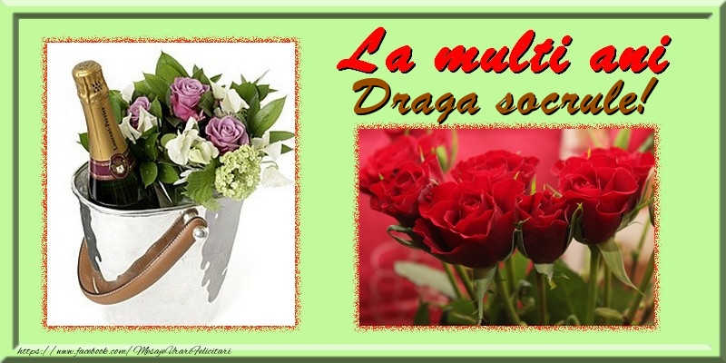Felicitari de la multi ani pentru Socru - La multi ani draga socrule
