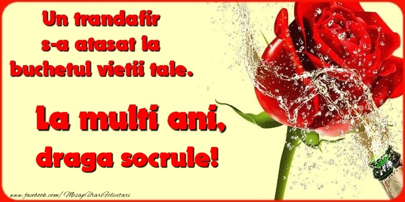 Felicitari de la multi ani pentru Socru - Un trandafir s-a atasat la buchetul vietii tale. draga socrule