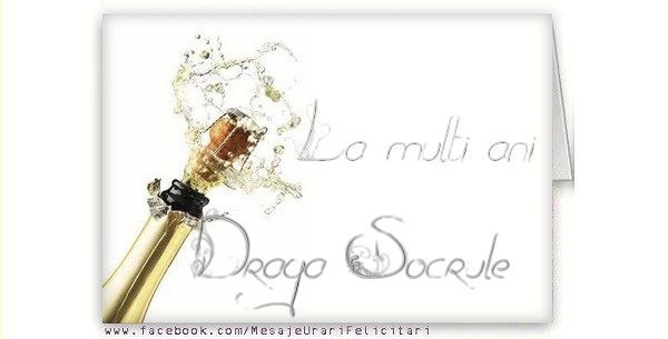 Felicitari de la multi ani pentru Socru - La multi ani, draga socrule