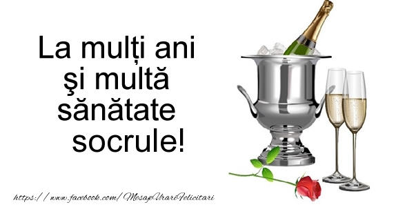 Felicitari de la multi ani pentru Socru - La multi ani si multa sanatate socrule!