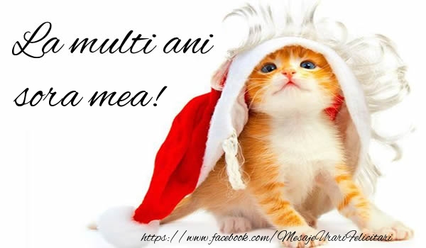 Felicitari de la multi ani pentru Sora - La multi ani surioara!