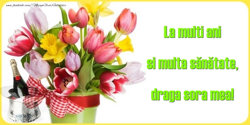 Felicitari de la multi ani pentru Sora - La multi ani si multa sănătate, draga sora mea