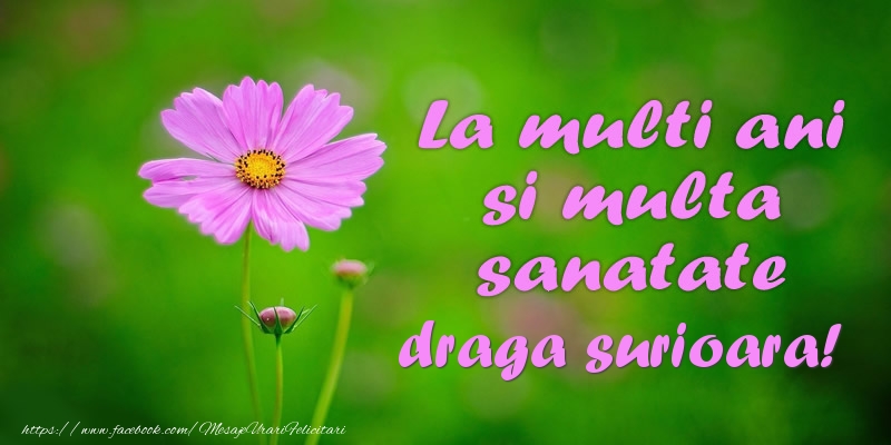 Felicitari de la multi ani pentru Sora - La multi ani si multa sanatate draga sora!