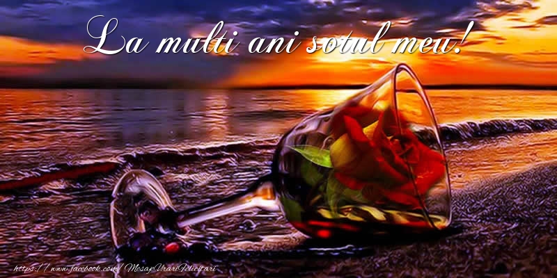 Felicitari de la multi ani pentru Sot - La multi ani sotul meu!