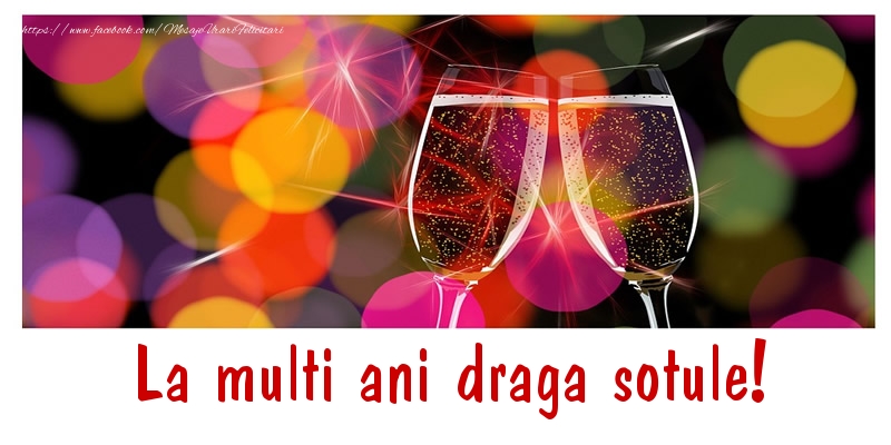 Felicitari de la multi ani pentru Sot - La multi ani draga sotule!